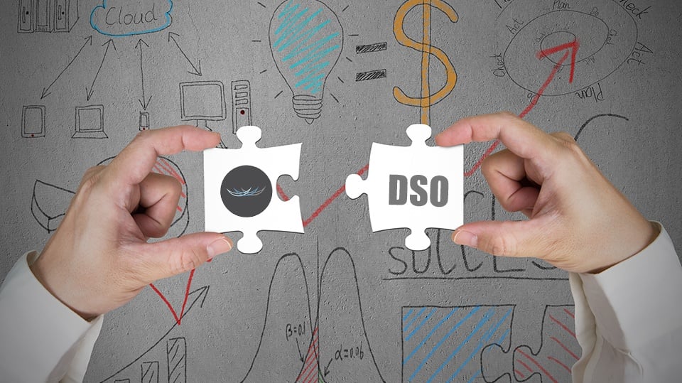 Six Month Smiles: Adding Value to the DSO Workplace